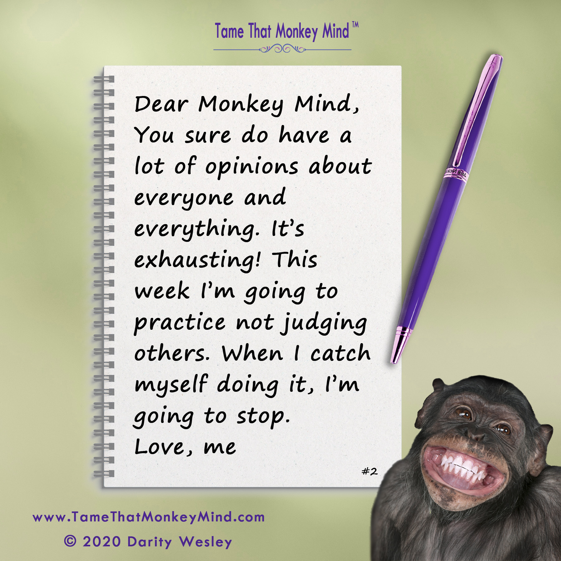 Dear Monkey Mind #2