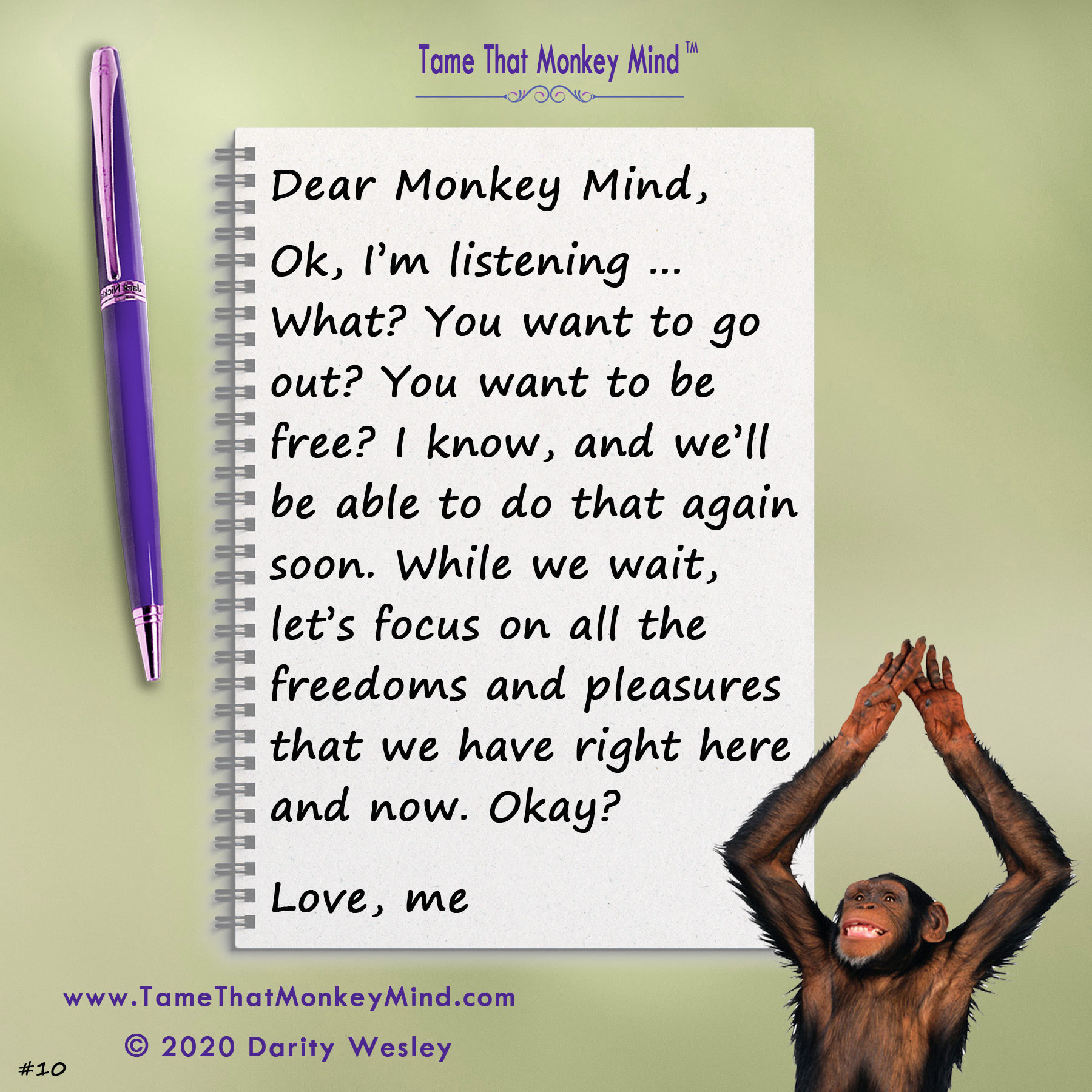 Dear Monkey Mind #10