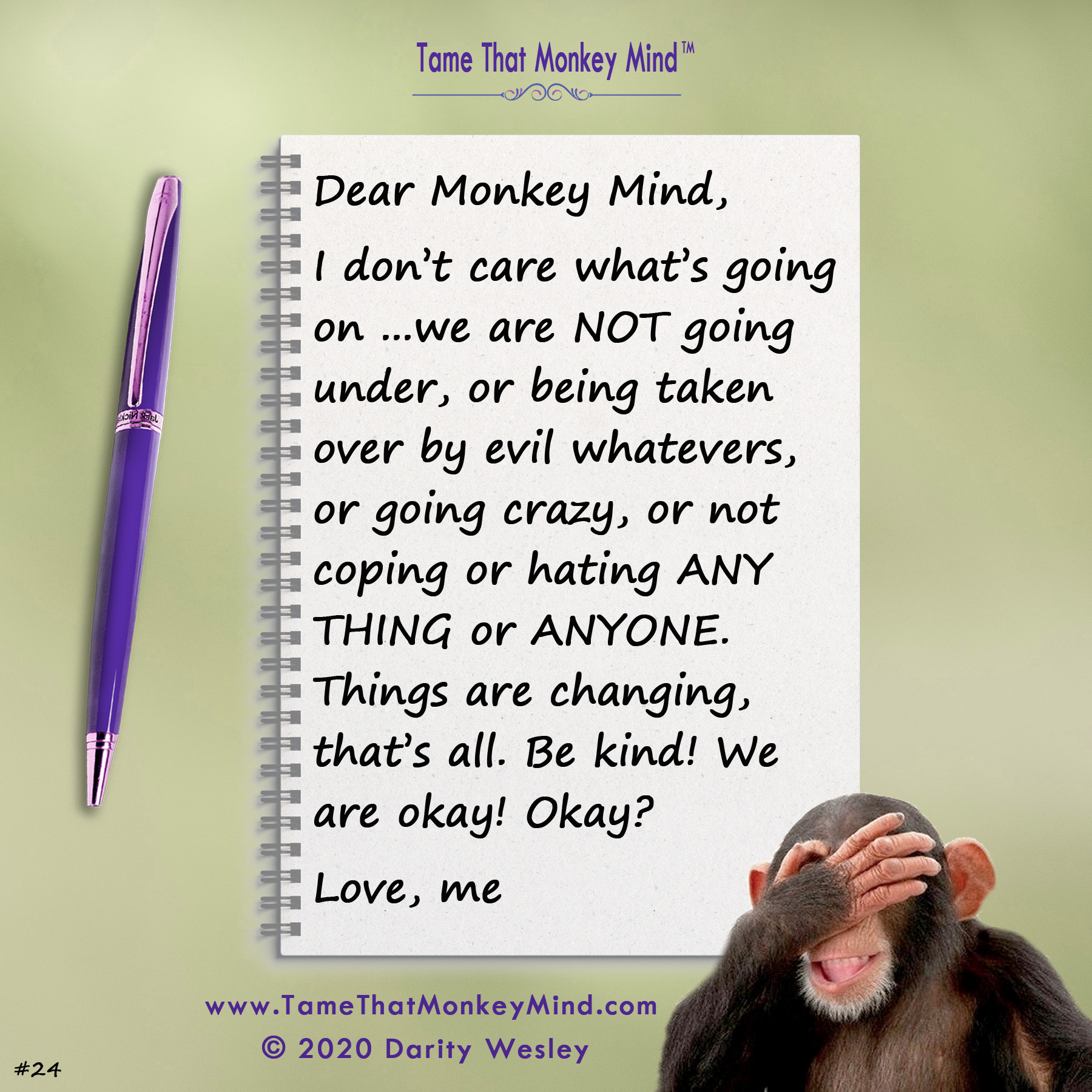 Dear Monkey Mind #24