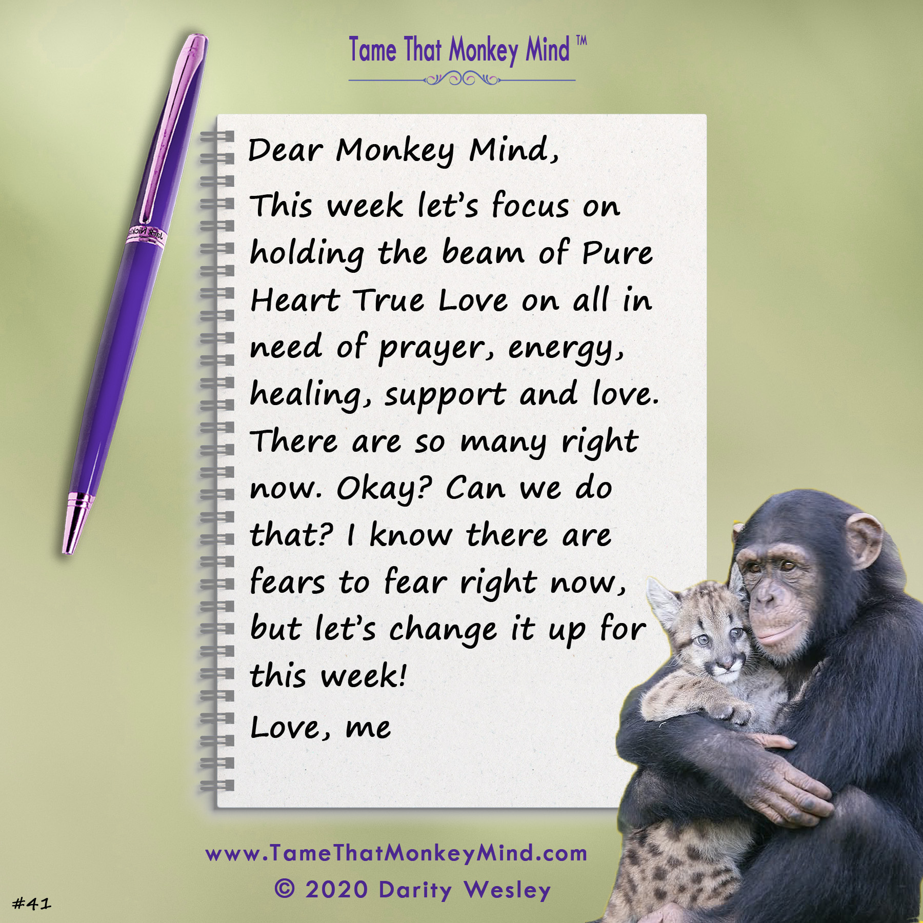 Dear Monkey Mind #41