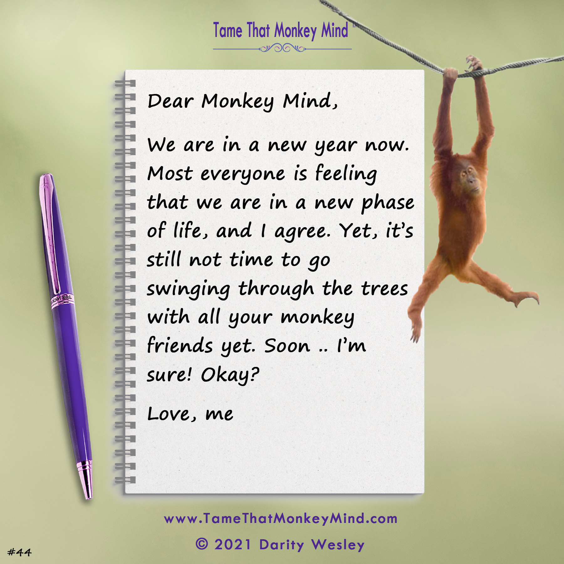 Dear Monkey Mind #44