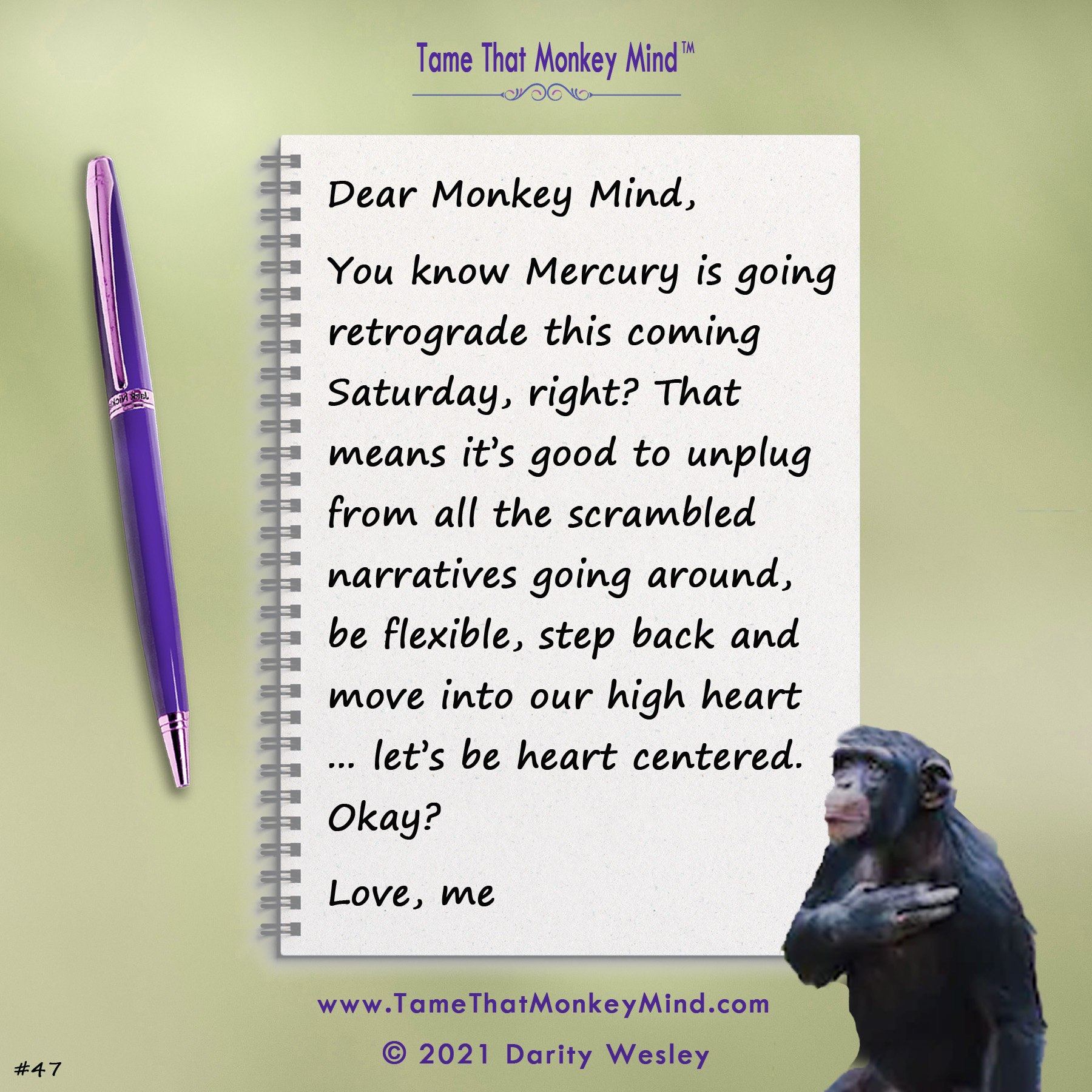Dear Monkey Mind #47